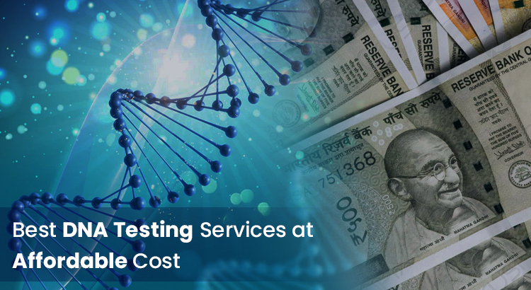 DNA Testing Cost in India | DNA Test Price in India