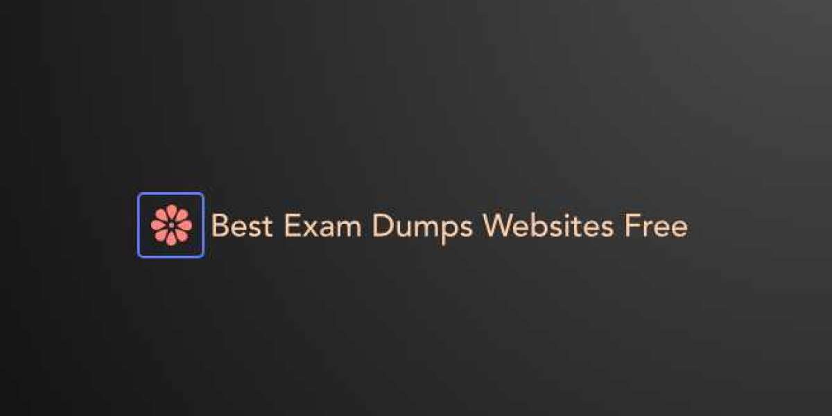 How the Best Exam Dumps Websites Offer Personalized Recommendations