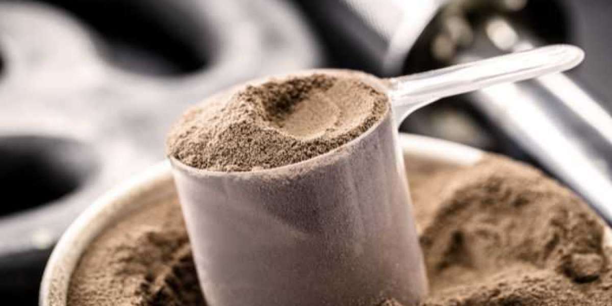 Casein Market Size, Share, Trend & Growth | 2032