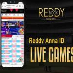 reddyannapro